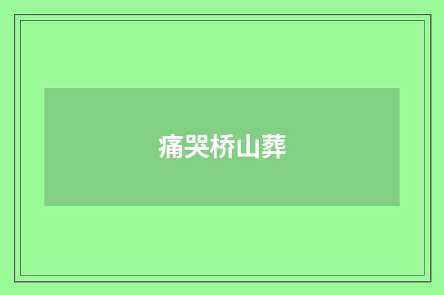 痛哭桥山葬