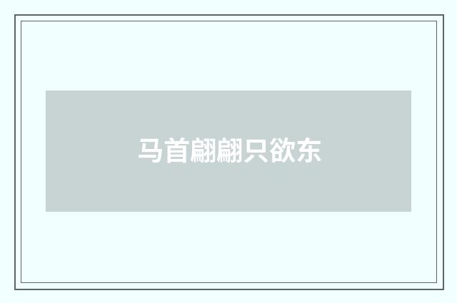马首翩翩只欲东