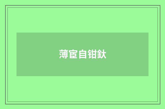 薄宦自钳釱