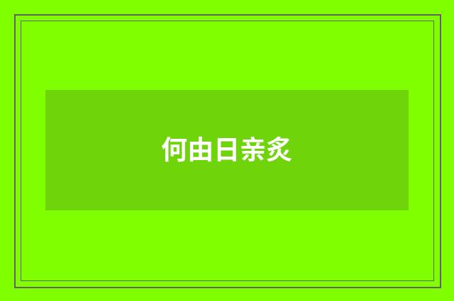 何由日亲炙