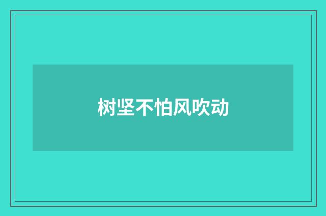 树坚不怕风吹动