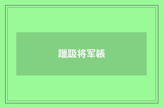 躐趿将军韔
