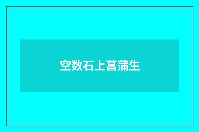 空数石上菖蒲生