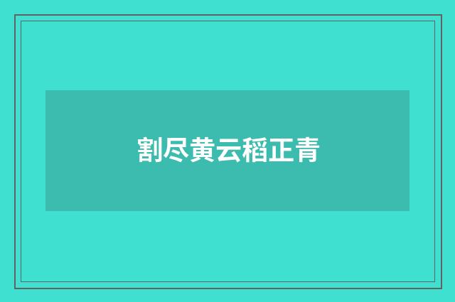 割尽黄云稻正青