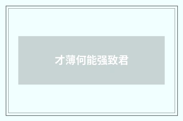 才薄何能强致君