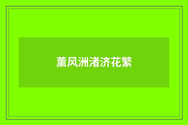 薰风洲渚济花繁