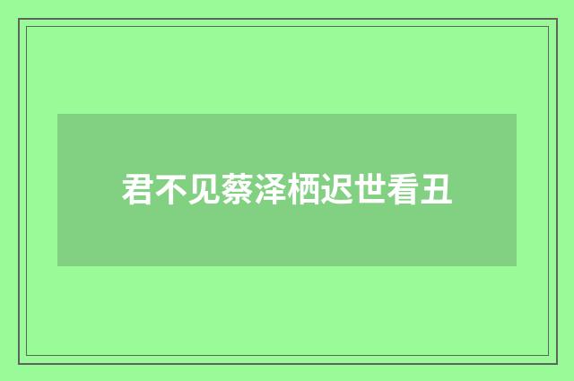 君不见蔡泽栖迟世看丑