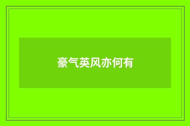 豪气英风亦何有