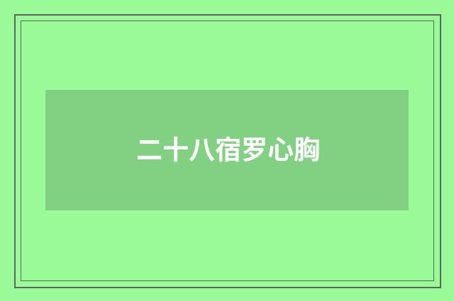 二十八宿罗心胸