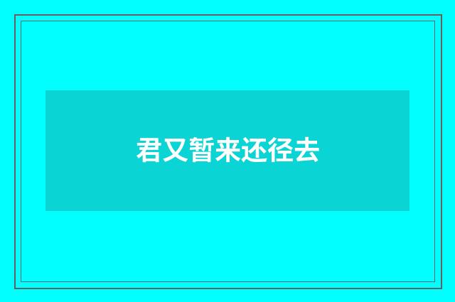 君又暂来还径去