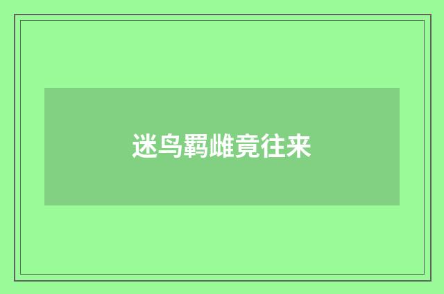 迷鸟羁雌竟往来