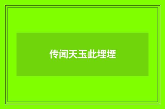 传闻天玉此埋堙