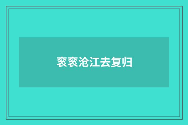 衮衮沧江去复归
