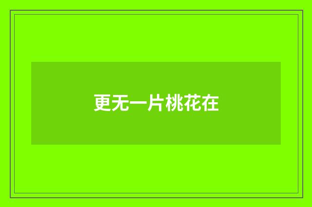 更无一片桃花在