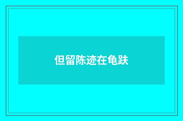 但留陈迹在龟趺