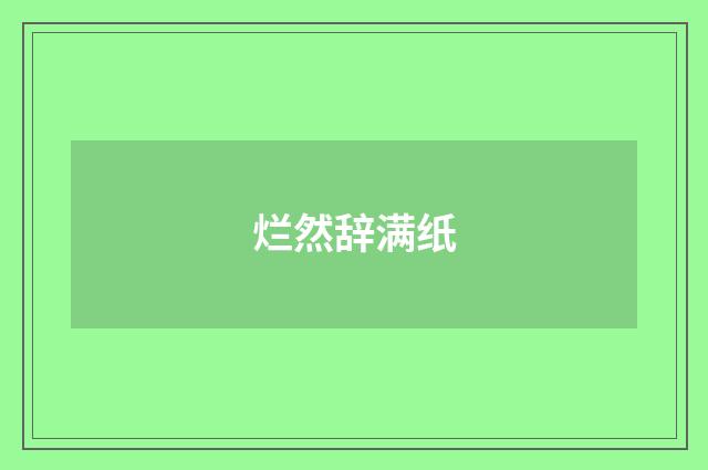 烂然辞满纸