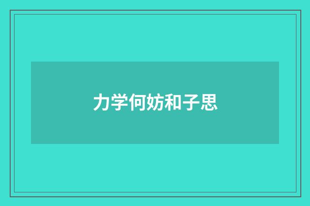 力学何妨和子思