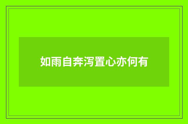 如雨自奔泻置心亦何有