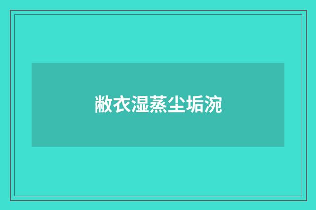 敝衣湿蒸尘垢涴