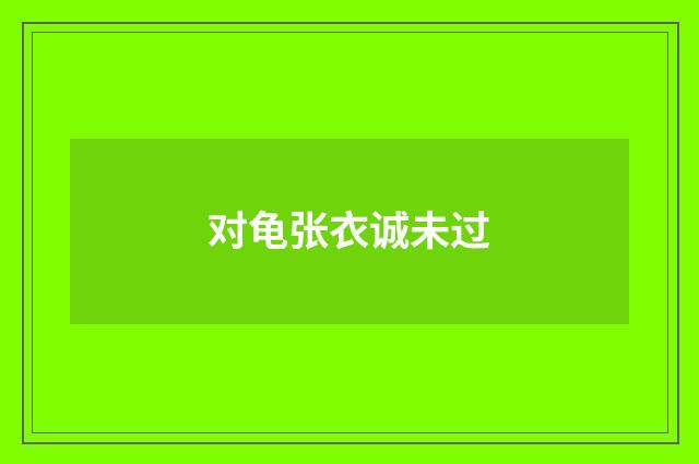 对龟张衣诚未过