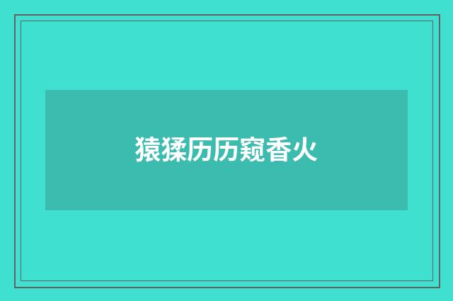 猿猱历历窥香火