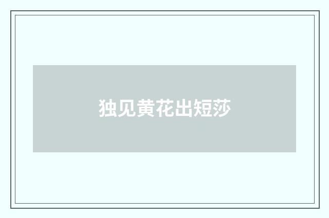 独见黄花出短莎