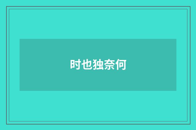 时也独奈何