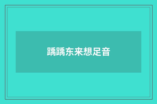 踽踽东来想足音