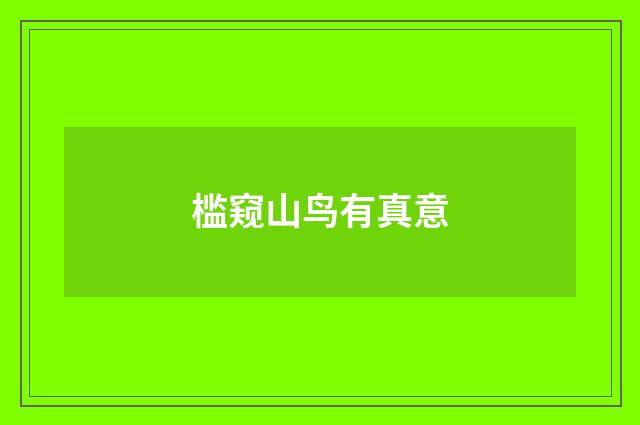 槛窥山鸟有真意