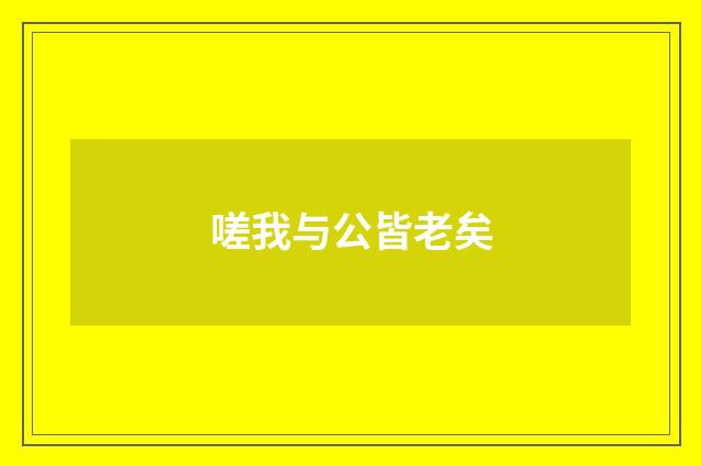 嗟我与公皆老矣