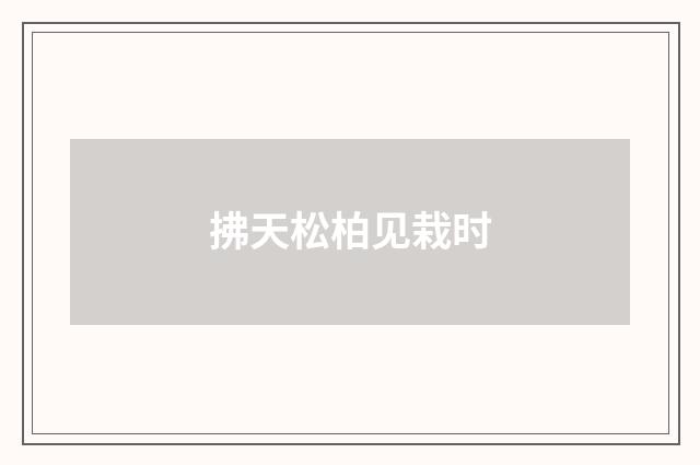 拂天松柏见栽时