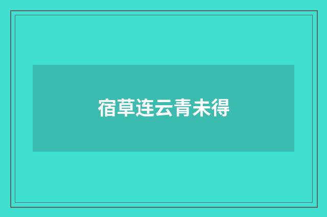 宿草连云青未得