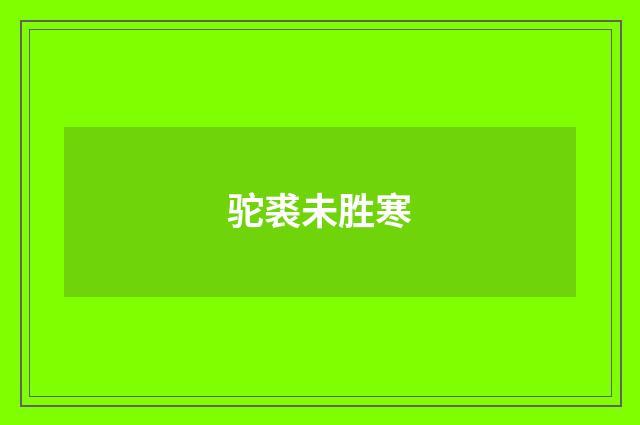 驼裘未胜寒
