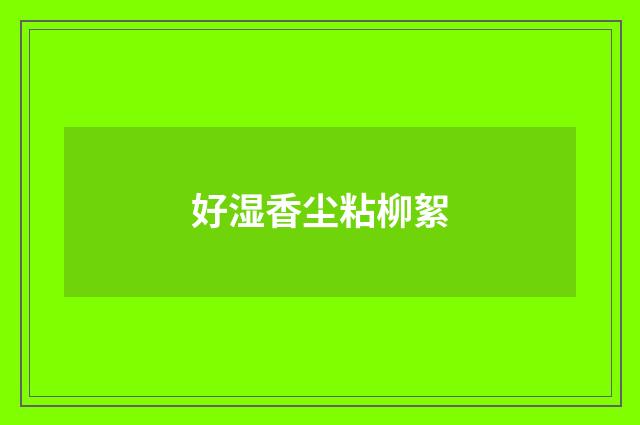 好湿香尘粘柳絮