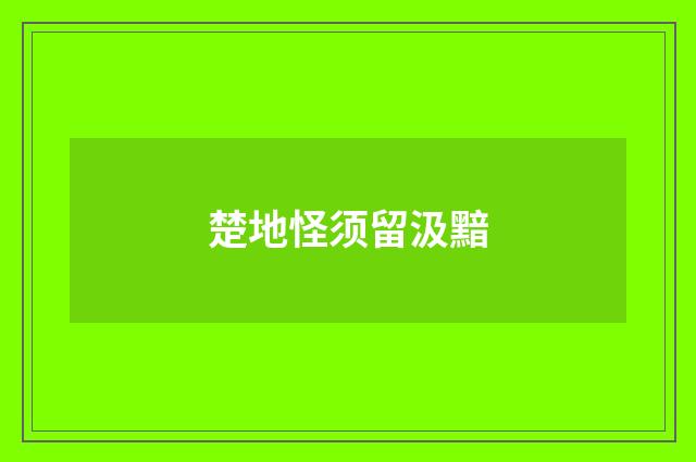 楚地怪须留汲黯