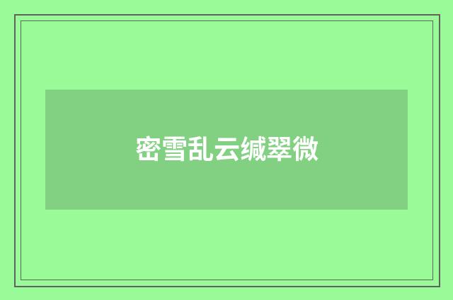 密雪乱云缄翠微
