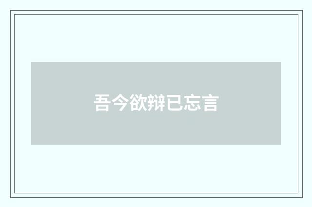 吾今欲辩已忘言