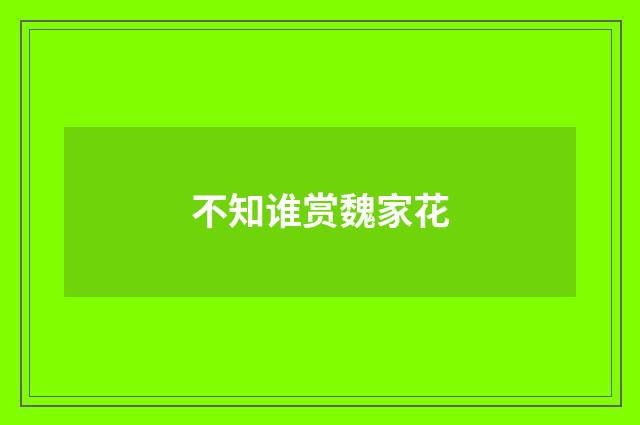不知谁赏魏家花