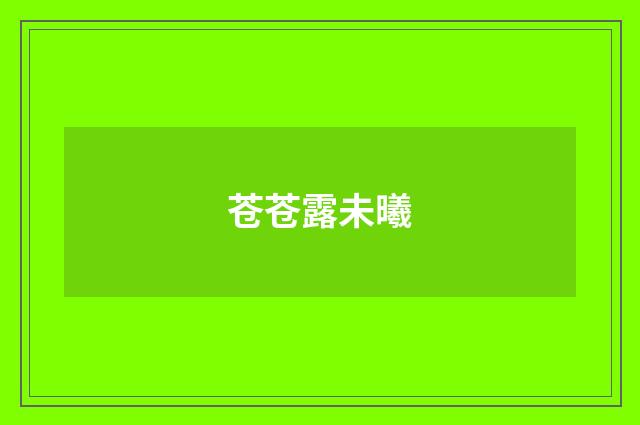 苍苍露未曦