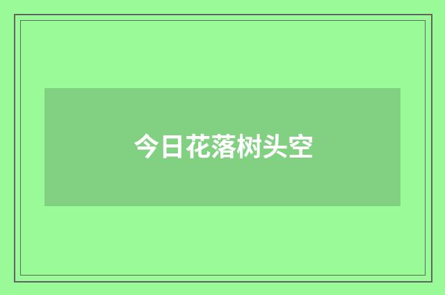 今日花落树头空