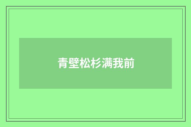 青壁松杉满我前