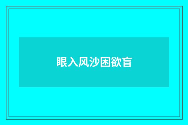 眼入风沙困欲盲