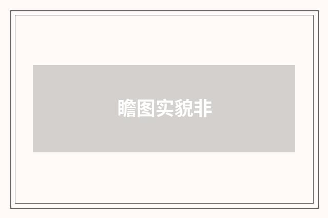 瞻图实貌非