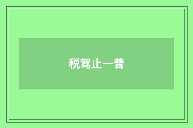 税驾止一昔