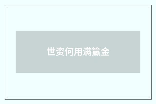 世资何用满籯金