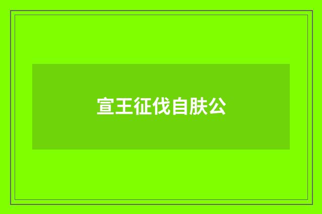 宣王征伐自肤公