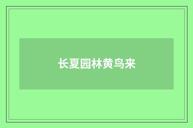 长夏园林黄鸟来
