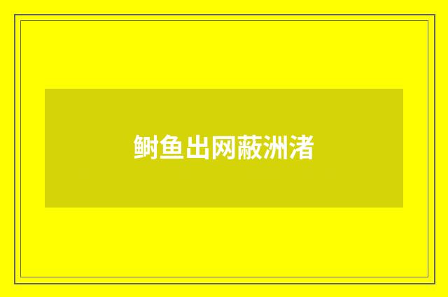 鲥鱼出网蔽洲渚