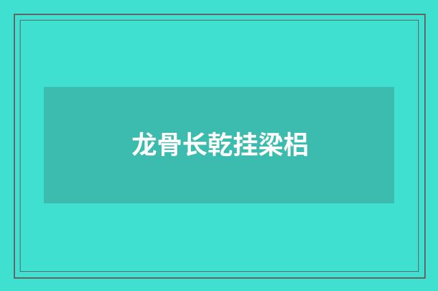 龙骨长乾挂梁梠
