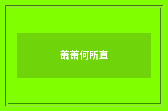 萧萧何所直